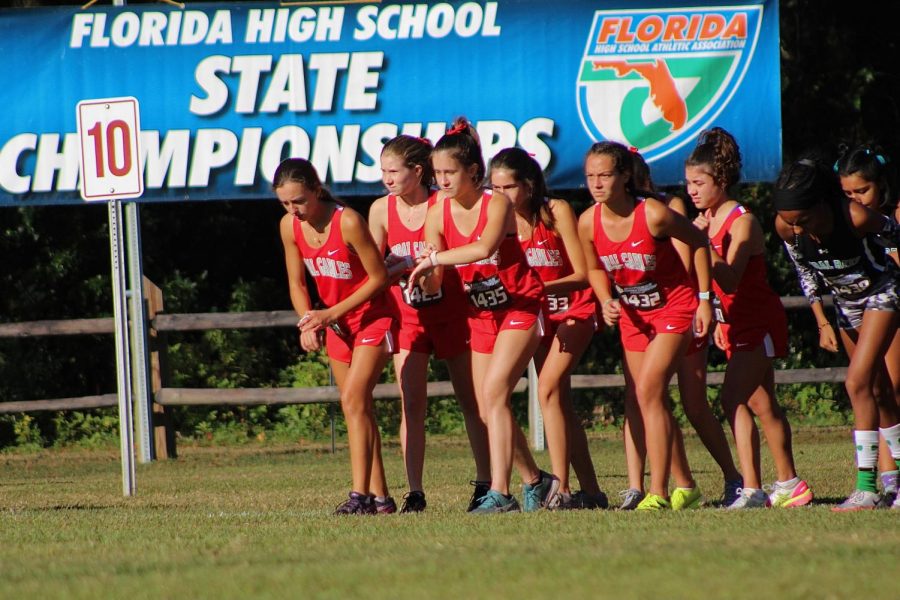 The+Gables+cross+country+girls+lined+up+on+the+starting+line+about+to+begin+the+race.