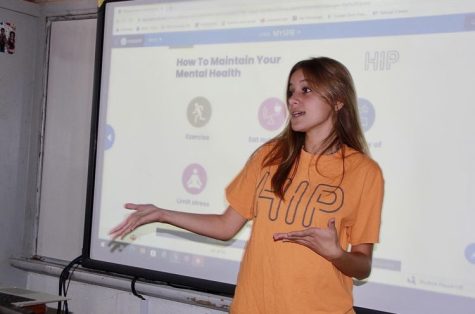 Recently, The Health Information Project was temporarily restricted from speaking about sexual health due to the implications of a an unjust bill famously known as "Don't Say Gay".