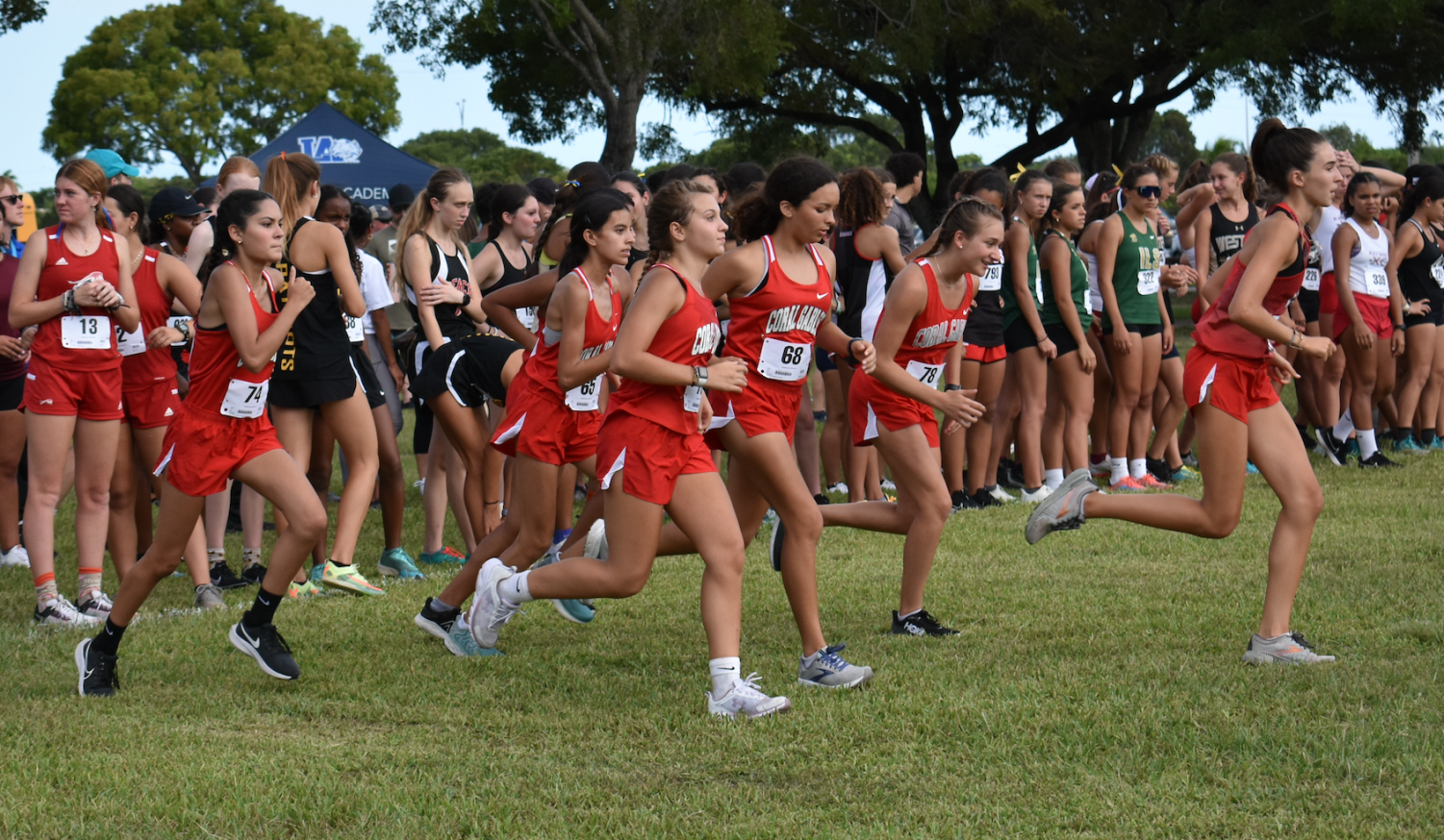 Gables Cross Country Takes on the King of the Hill Invitational