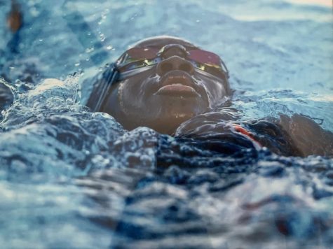 In her element, Stacey Simelanang swims backstroke during her practice with the UM swim team. 