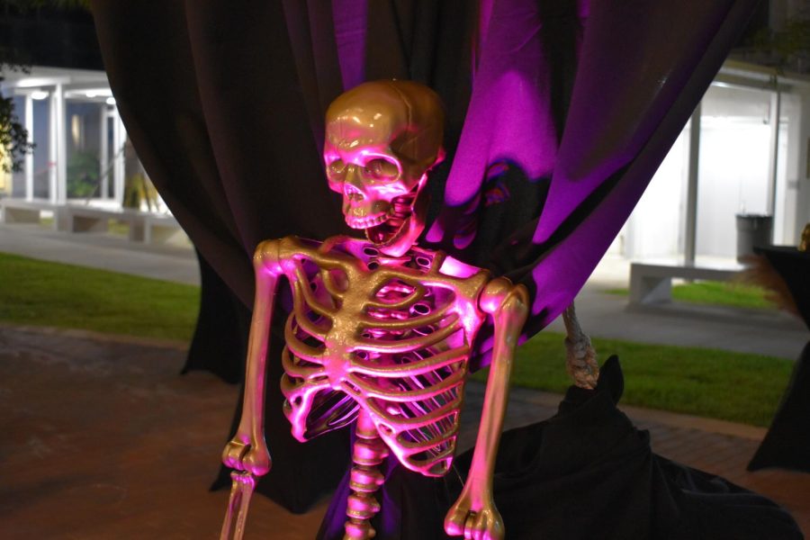 A close up of the skeletons that surrounded the dance floor. 