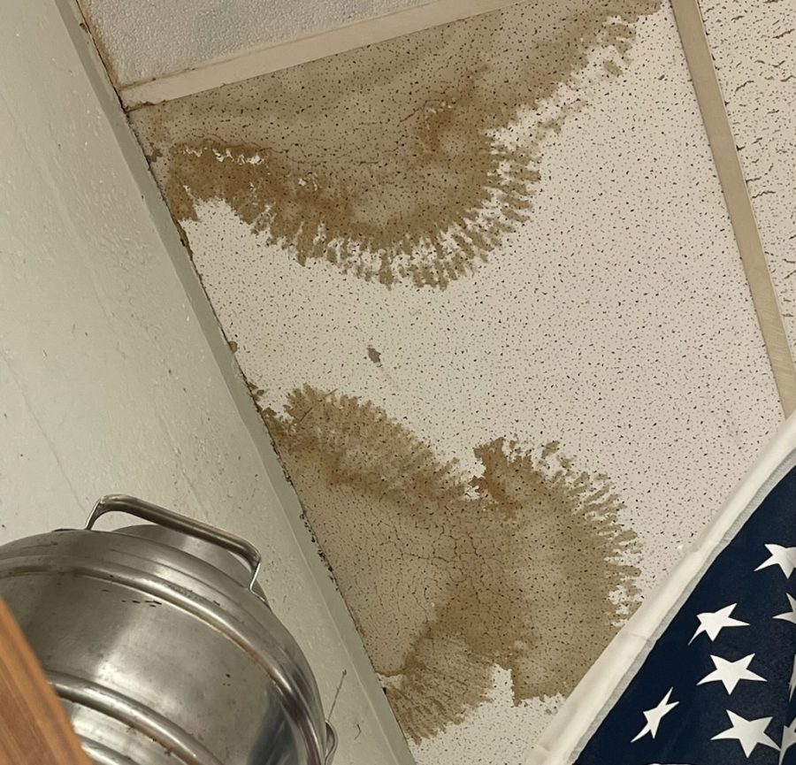 Mold has formed on the sodden ceiling tile, weighting it down, posing a possible threat to Mrs. DePaolas class.