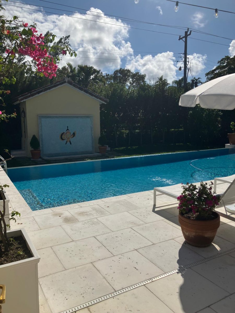 Backyard View