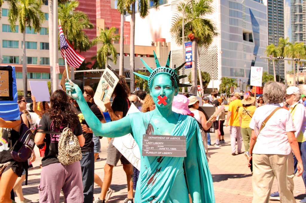 A protester is photographed dressed up as Lady Liberty, the iconic symbol of democracy, hope and freedom. 
