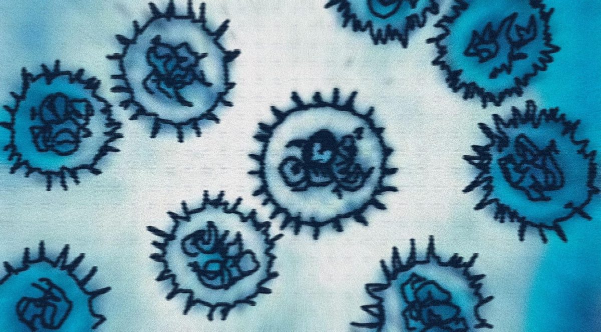 The Hantavirus particles at their earliest stage of existing.